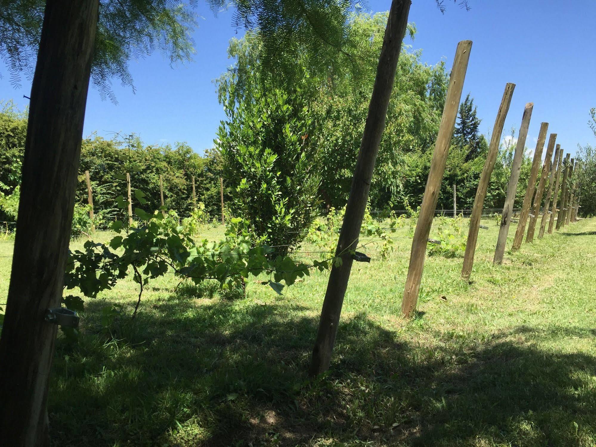Maipú Tikaykilla Lodge & Wines מראה חיצוני תמונה