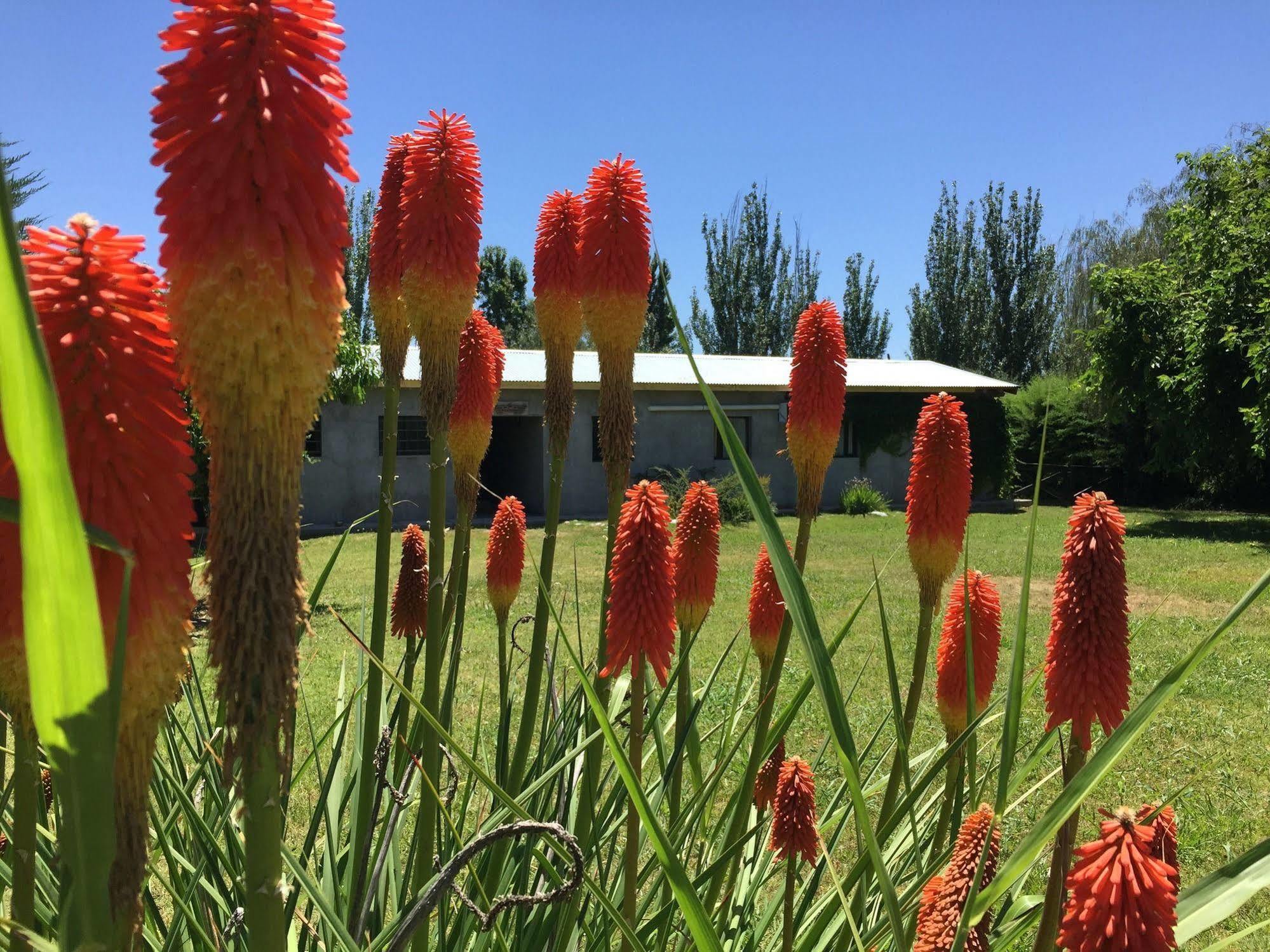 Maipú Tikaykilla Lodge & Wines מראה חיצוני תמונה