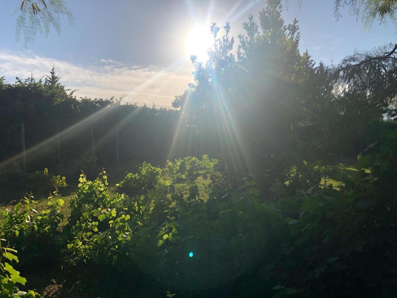 Maipú Tikaykilla Lodge & Wines מראה חיצוני תמונה